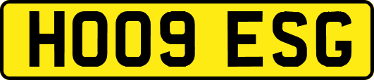HO09ESG