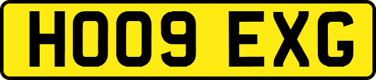 HO09EXG