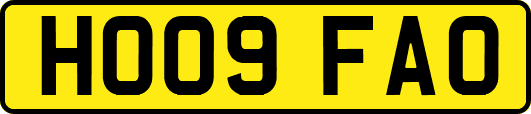 HO09FAO