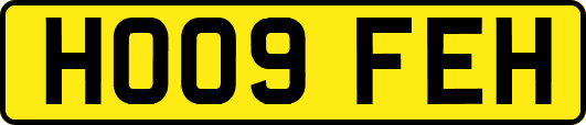 HO09FEH