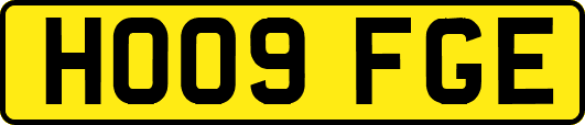 HO09FGE