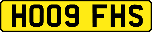 HO09FHS