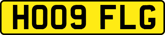 HO09FLG