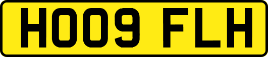 HO09FLH