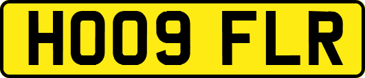 HO09FLR