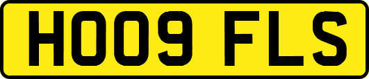 HO09FLS
