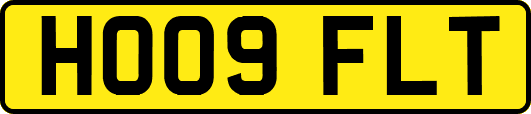 HO09FLT