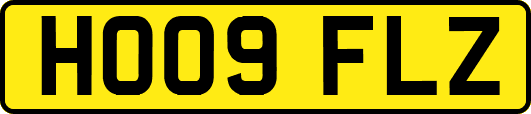 HO09FLZ