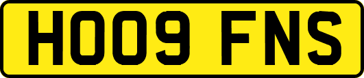 HO09FNS