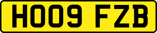 HO09FZB