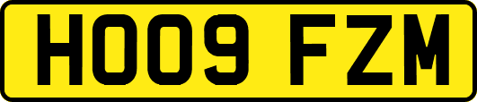 HO09FZM