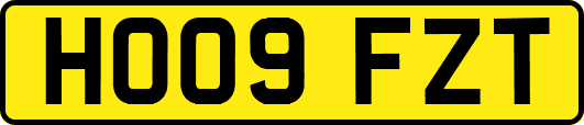 HO09FZT