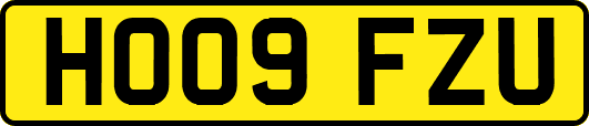 HO09FZU