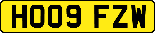 HO09FZW