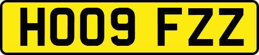 HO09FZZ