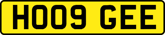 HO09GEE