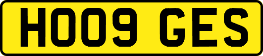 HO09GES
