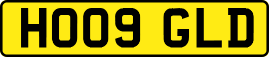 HO09GLD