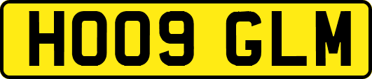 HO09GLM