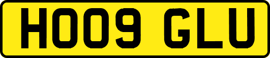 HO09GLU