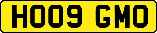 HO09GMO