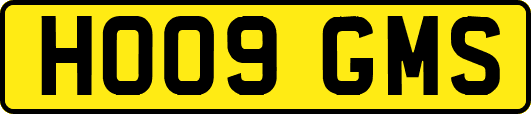 HO09GMS