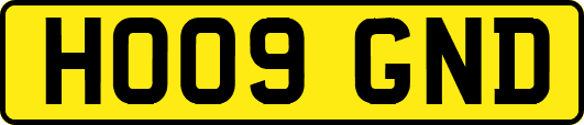 HO09GND