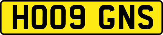HO09GNS