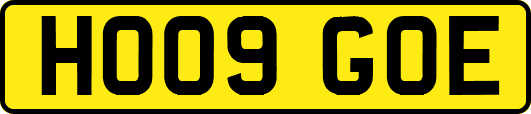 HO09GOE