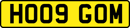 HO09GOM