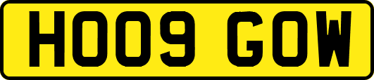 HO09GOW