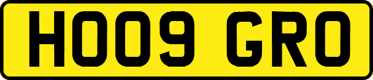 HO09GRO