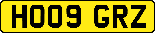 HO09GRZ