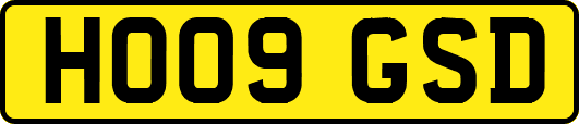 HO09GSD