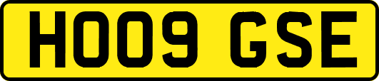 HO09GSE