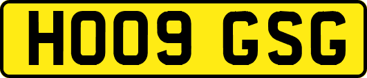 HO09GSG