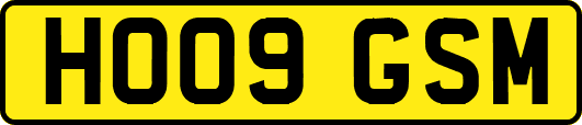 HO09GSM