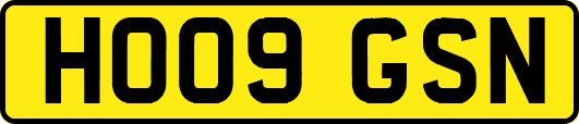 HO09GSN
