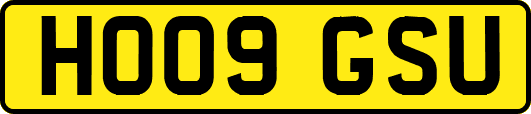 HO09GSU