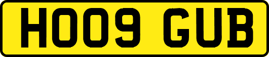 HO09GUB
