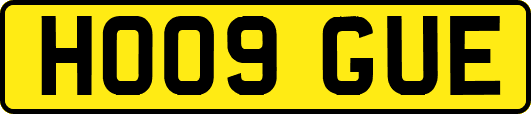 HO09GUE