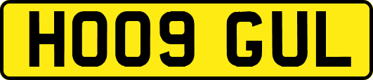 HO09GUL