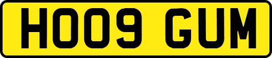 HO09GUM
