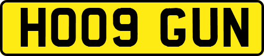 HO09GUN