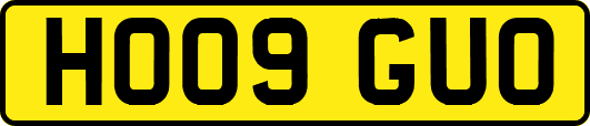 HO09GUO