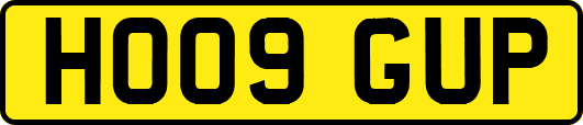 HO09GUP