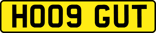 HO09GUT