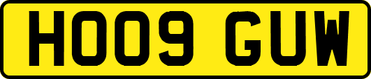HO09GUW