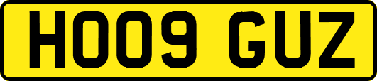 HO09GUZ