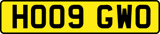 HO09GWO